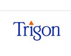 Trigon Associates LLC