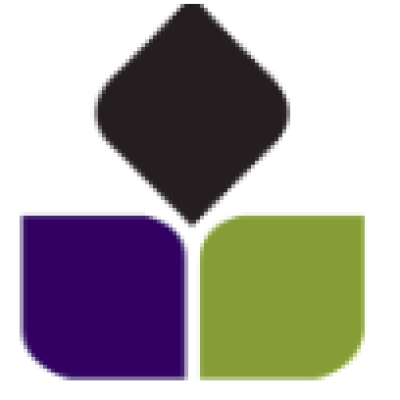 Triple N Capital Ventures Ltd.