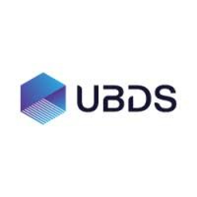 UBDS IT Consulting Limited