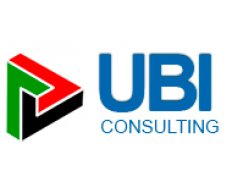 UBI Consulting LLC