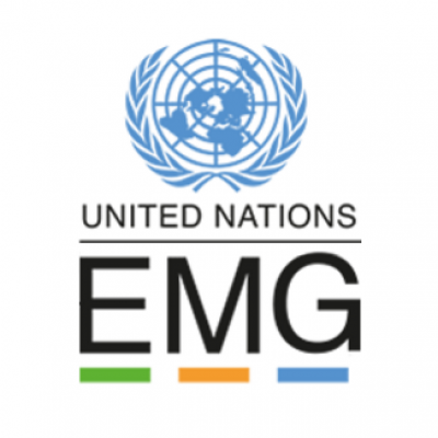 UN Environment Management Grou