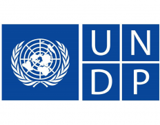 UNDP - United Nations Development Programme (Sweden)