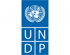 United Nations Development Programme (Indonesia)