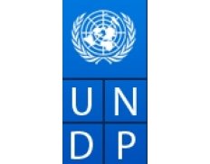 United Nations Development Pro