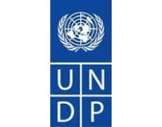 United Nations Development Pro