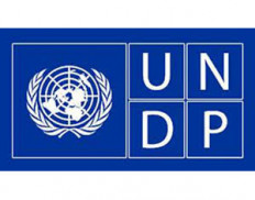 United Nations Development Pro