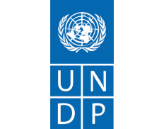 United Nations Development Pro