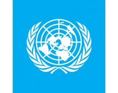 United Nations Department of Safety and Security (Chad)