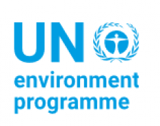 United Nations Environment Programme, New York Office