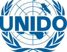 United Nations Industrial Development Organization (Uruguay)