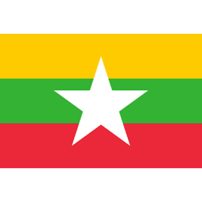 Union Assembly of Myanmar