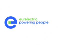 Union of the Electricity Industry - Eurelectric Aisbl