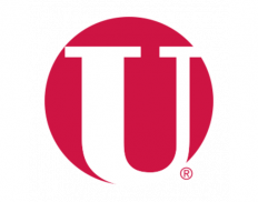 Unisys Deutschland GmbH