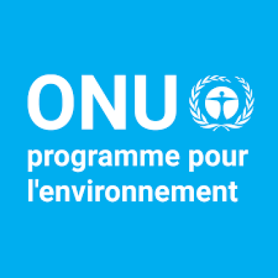 United Nations Environment Programme (Haiti) / Programme des Nations Unies pour l'environnement en Haïti