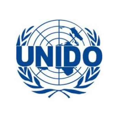 United Nations Industrial Development Organization (Burkina Faso)