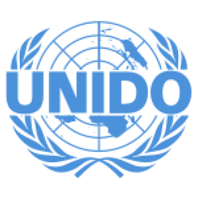 United Nations Industrial Development Organization (Democratic Republic of the Congo)