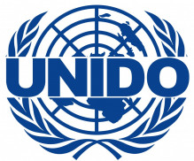 United Nations Industrial Deve