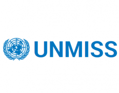 United Nations Mission in Sout