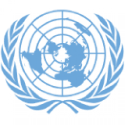 United Nations Office of the Special Representative of the Secretary-General on Violence against Children (USA)