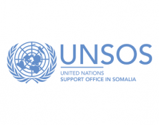 United Nations Support Office 