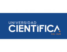 UNIVERSIDAD CIENTIFICA DEL SUR