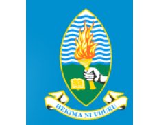 University of Dar es Salaam