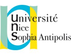University of Nice