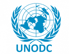 United Nations Office on Drugs and Crime Nigeria