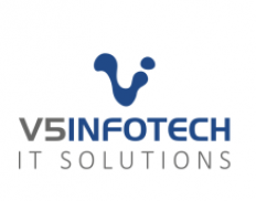 V5 Infotech Private Limited