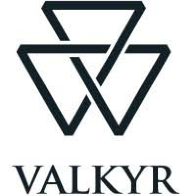 Valkyr Informatikai Kft.