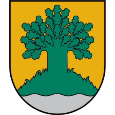 Valmiera City Council (Latvia)