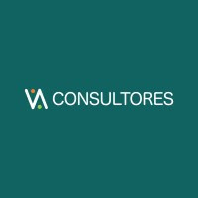 Videnza Consultores