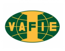 Vietnam Association of Foreign