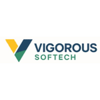 VIGOROUS SOFTECH SYSTEMS PRIVA