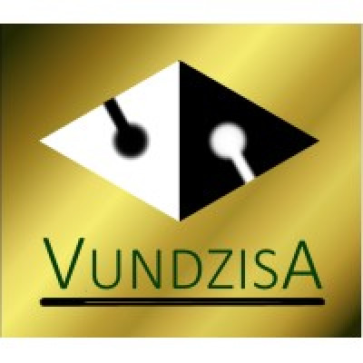 Vundzisa Group