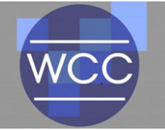 WCC - Washington Consulting Corp