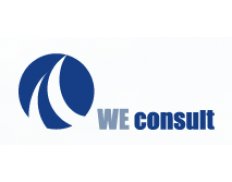 WE Consult