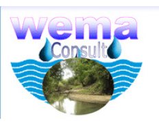 Wema Consult