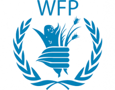 World Food Programme (Iraq)