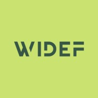 WiDEF - Women in the Digital Economy Fund