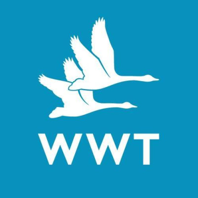 WWT - Wildfowl and Wetlands Tr