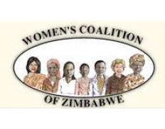 Women Filmmakers of Zimbabwe (