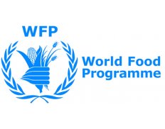 World Food Programme (Mozambique)