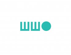 Worldwide Orphans Foundation
