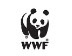 World Wild Fund for Nature Brazil