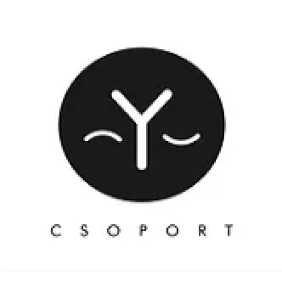 Y Csoport