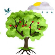 Enduring Consultancy (formerly Yejj Consulting)