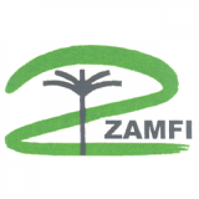 Zimbabwe Association of Microfinance Institutions (ZAMFI)