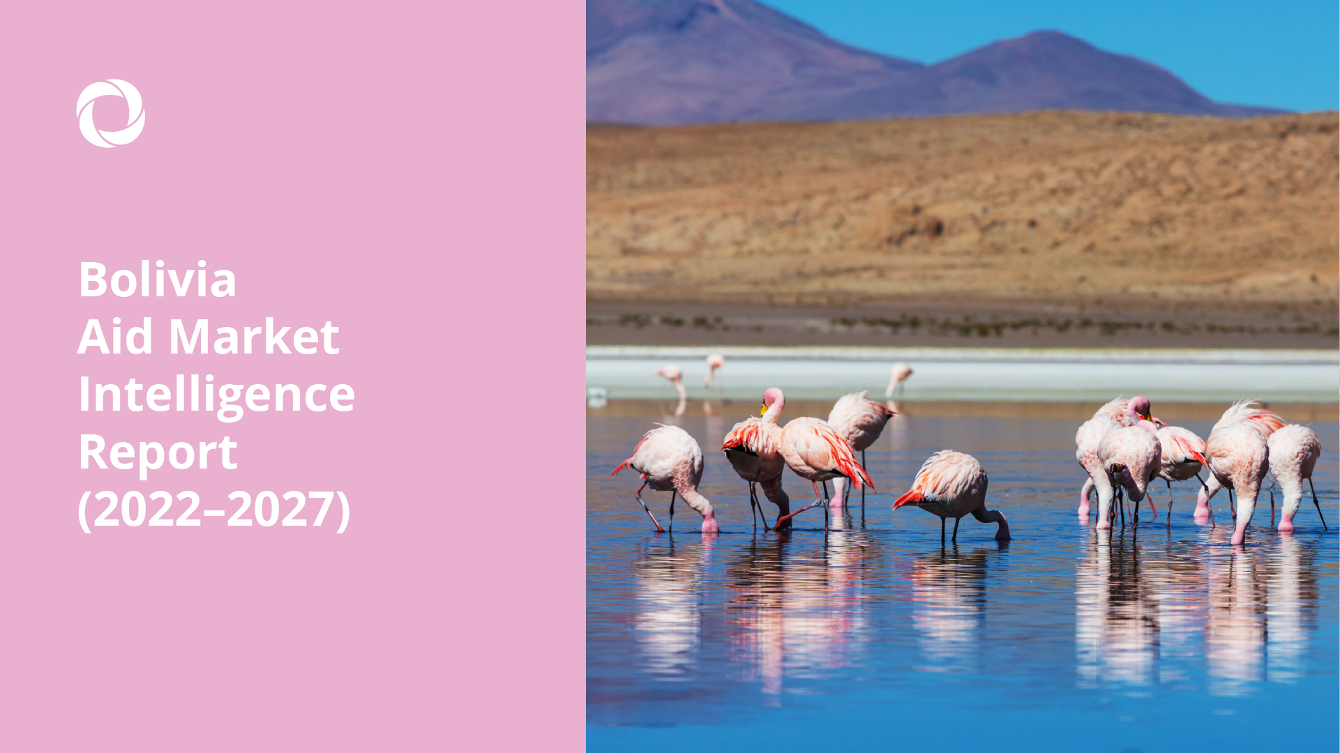 Bolivia Aid Market Intelligence Report (2022–2027)_Bolivia Aid Market Intelligence Report (2022–2027)