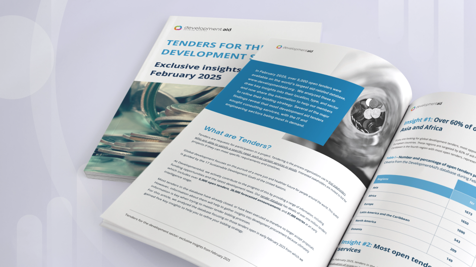 Tenders for the development sector exclusive insights from February 2025 1